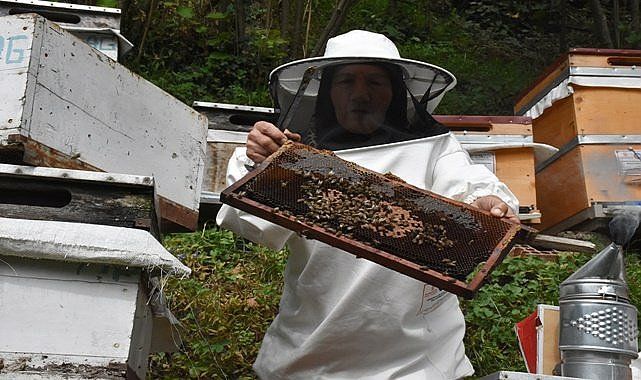 Ordulu kadın arıcı 38 yıldır ailesine destek sağlıyor
