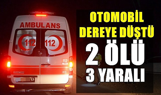 Otomobil dereye düştü