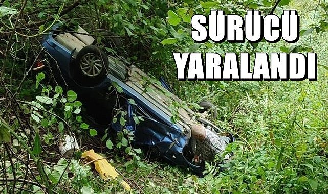 Otomobil fındık bahçesine yuvarlandı