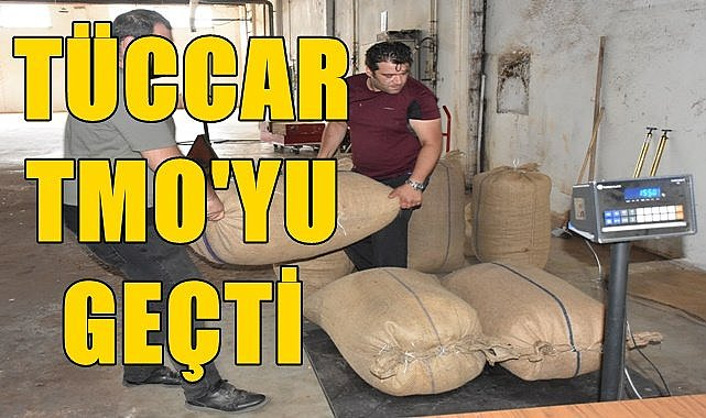Tüccar 87 TL'den fındık alıyor