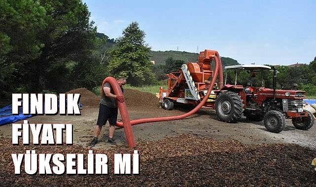 Fındık fiyatı 12 TL düştü! Piyasa ilk kez böyle bir şey gördü