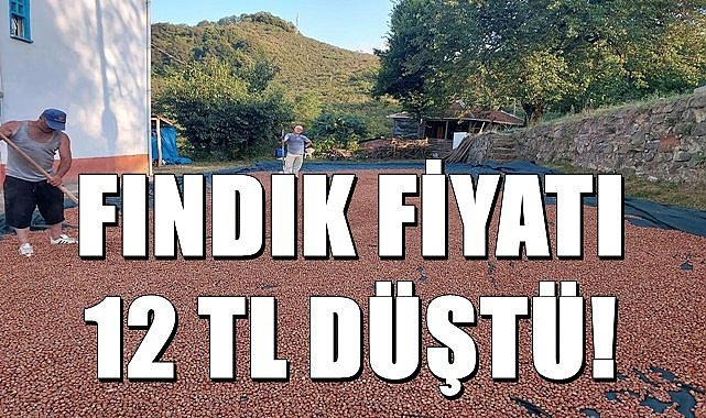 Fındık fiyatı (15.10.2023)