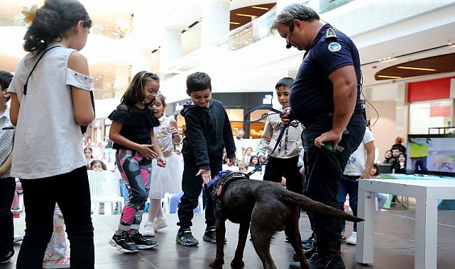 Sakarya&#039;da Pati Festivali&#039;nde renkli görüntüler