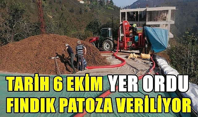 Tarih 6 Ekim yer Ordu fındık patoza veriliyor