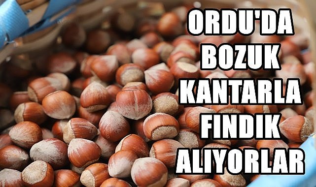 Valilik uyardı; Ordu&#039;da hileli kantarla fındık alıyorlar