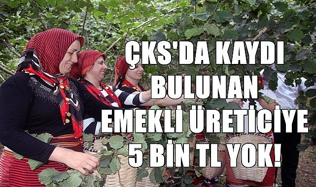 Emekli fındık çiftçisine şok; 5 bin TL yok!