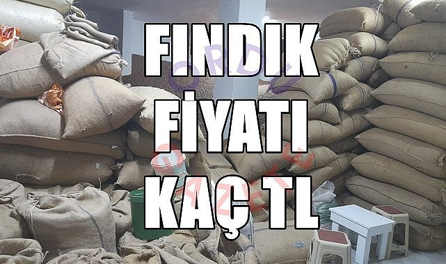 Fındık fiyatı (09.11.2023)