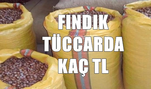 Fındık fiyatı (29.11.2023)