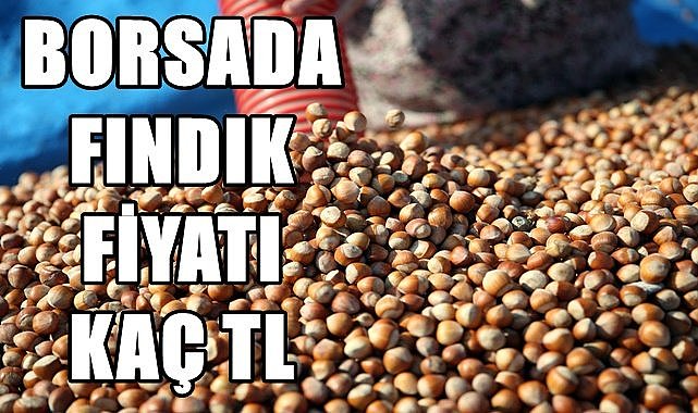 Fındık fiyatı en yüksek hangi borsada işlem görüyor?