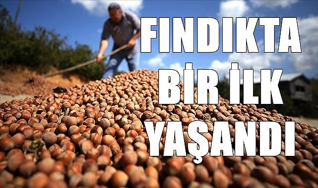 Fındık piyasasında bir ilk yaşandı: İşler tersine döndü!