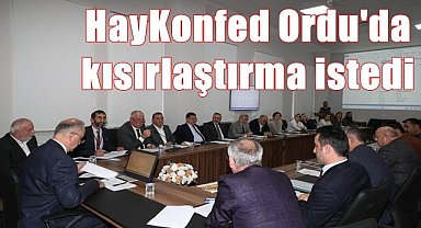 HayKonfed Ordu'da kısırlaştırma istedi