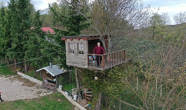 Ordu&#039;da ağacın tepesine ev kondu