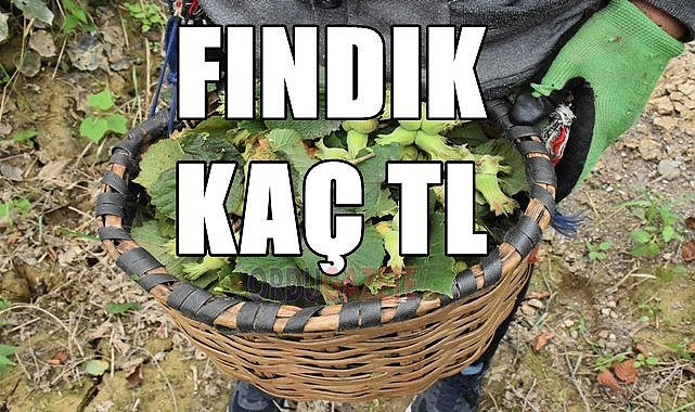 Fındık fiyatı (02.12.2023)