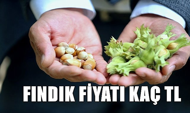 Fındık fiyatı (03.12.2023)