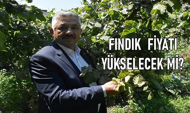 Fındık fiyatı için umutlar yeni yıla kaldı