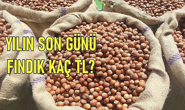 Fındık fiyatı yılın son günü kaç TL oldu?
