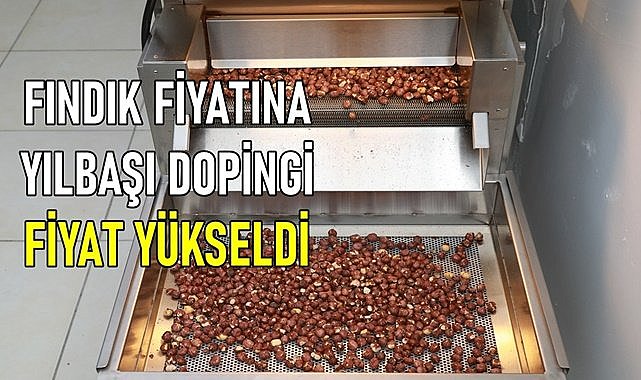 Fındık fiyatına yılbaşı dopingi! Fındık fiyatı yükseldi