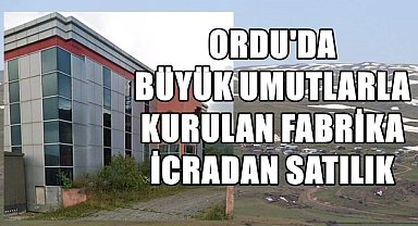 Ordu'da büyük umutlarla kurulan fabrika iflas etti