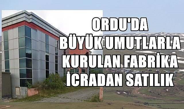 Ordu&#039;da büyük umutlarla kurulan fabrika iflas etti