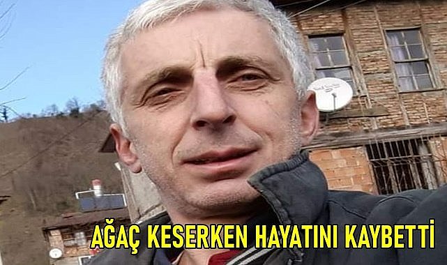 Ordu&#039;da fındık bahçesinde ağaç keserken hayatını kaybetti