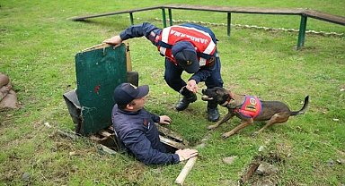 Ordu'da jandarma köpeği Logo ile Mermi operasyonların değişmez ismi