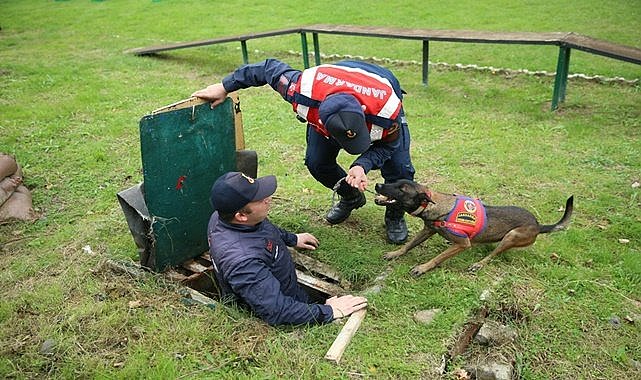Ordu&#039;da jandarma köpeği Logo ile Mermi operasyonların değişmez ismi