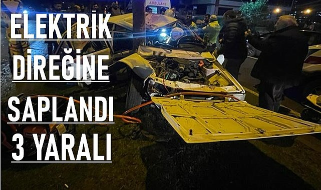 Ordu&#039;da otomobil elektrik direğine saplandı