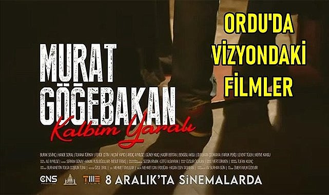 Ordu&#039;da sinemada gösterimde 10 film var