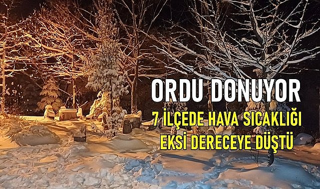 Ordu donuyor! 7 ilçede hava sıcaklığı eksi dereceye düştü!