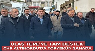 Altınordu'da Ulaş Tepe sahaya indi