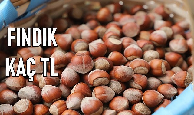 Fındık fiyatı (05.01.2024) Cuma