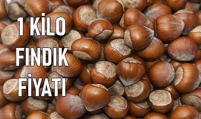Fındık fiyatı 1 TL yükseldi