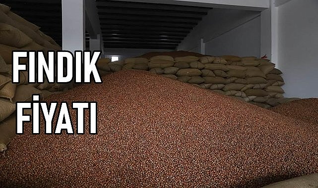Fındık fiyatı (12.01.2024)