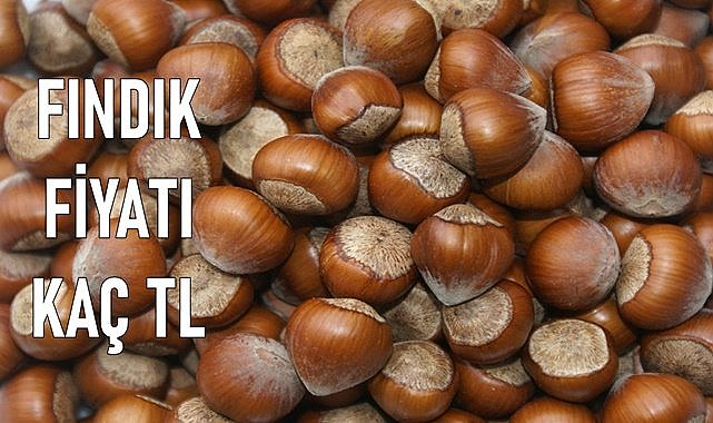 Fındık Fiyatı (14.01.2024)