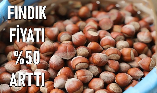 Fındık fiyatı % 50 zamlandı