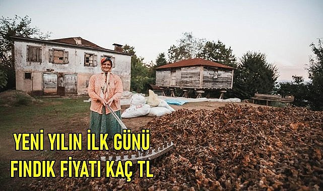 Fındık fiyatı yeni yılın ilk günü kaç TL oldu?