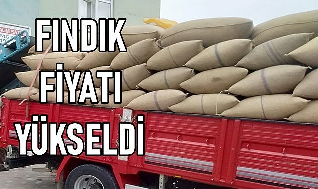 Fındık fiyatına tüccar zam yaptı