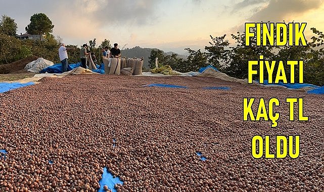 Fındık satmayan bayram ediyor: Fındık fiyatı uçtu