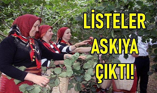 Fındık üreticisine askı uyarısı!