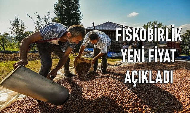 Fiskobirlik fındık fiyatını güncelledi: Yeni net fındık fiyatı
