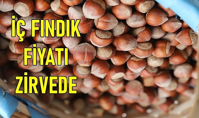 İç fındık fiyatı rekor kırdı