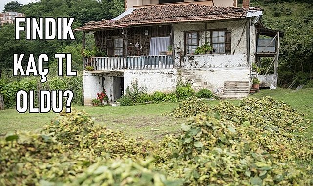 Ordu&#039;da 1 kilo fındık kaç TL?