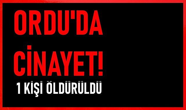 Ordu&#039;da cinayet! Bir kişi hayatını kaybetti