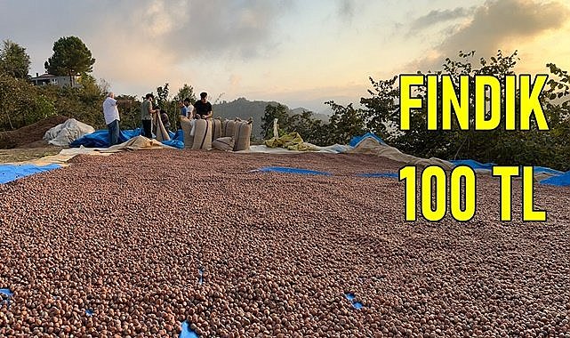 Tüccarda fındık 100 TL