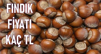 Fındık fiyatı (12.02.2023)