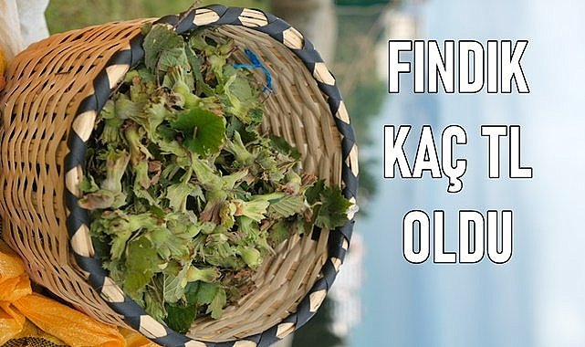 Fındık fiyatı (16.02.2024)