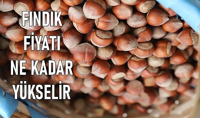 Fındık fiyatı (17.02.2024)