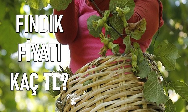 Fındık fiyatı (21.02.2024)