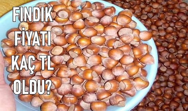 Fındık fiyatı yine yükseldi