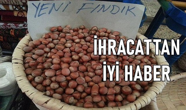 Fındık ihracatında rekor! Ülkeye giren dolar arttı